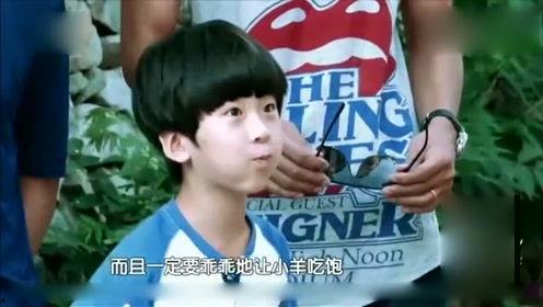 娱乐八卦每日爆料真人,明星真实现身幕后故事